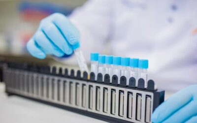 MaasstadLab nieuwsbrief november 2020