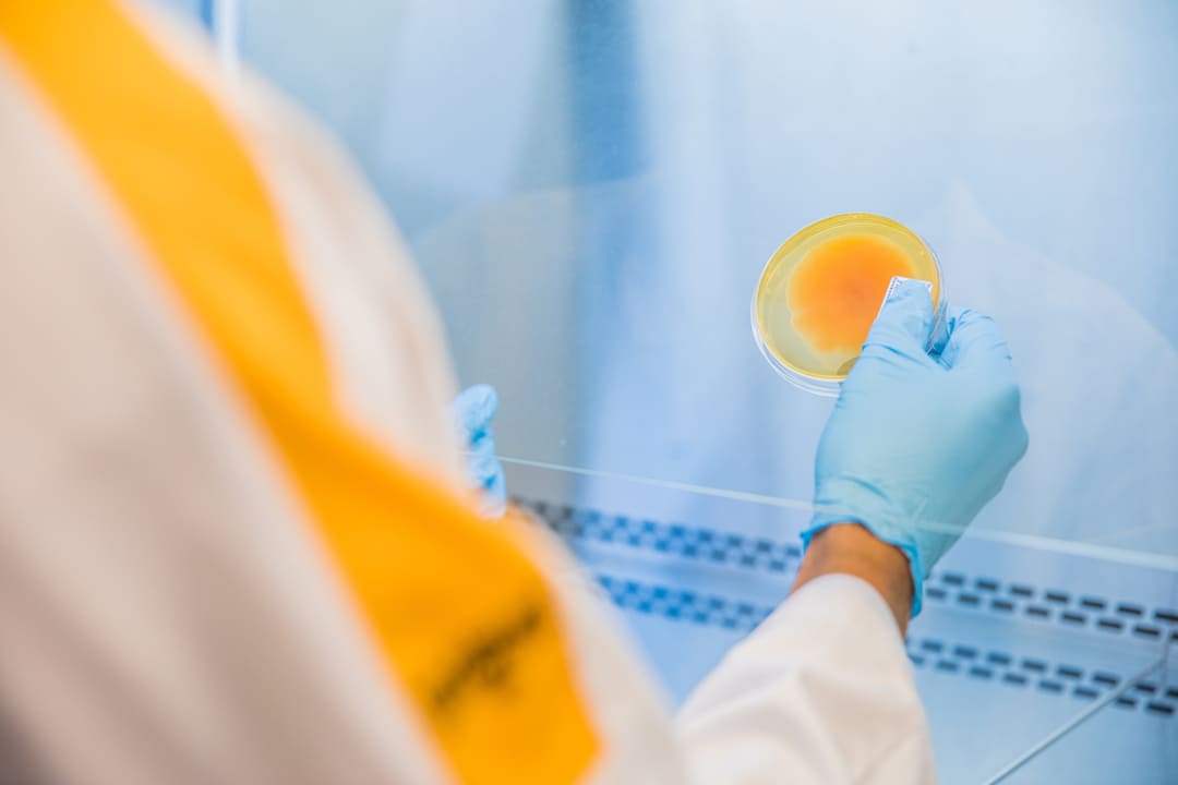 LMM 211111 Maasstad Ziekenhuis 244