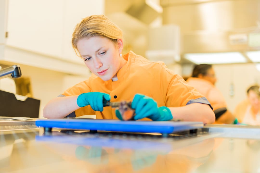 220217 Maastadlab Pathologie 146