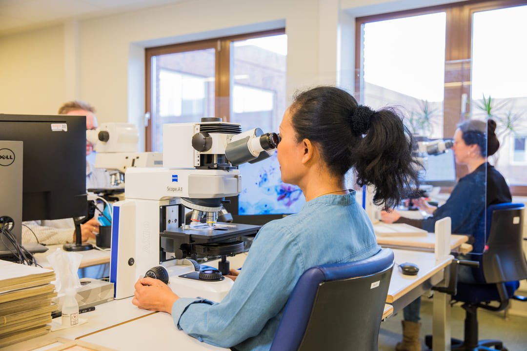 220217 Maastadlab Pathologie 79